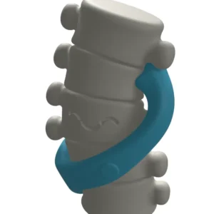 Chiropractor Review Totem